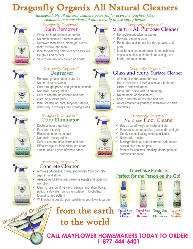 Dragonfly Organix Cleaning Product Infographics
