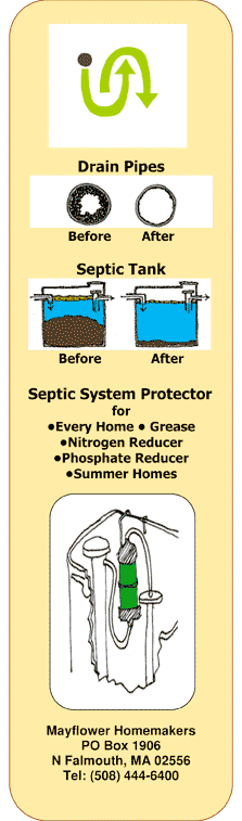 Septic Solutions Infographic